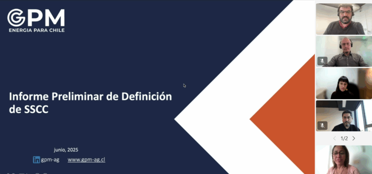 Socios de GPM participaron en discusión del Informe Preliminar de definición de Servicios Complementarios (SSCC)